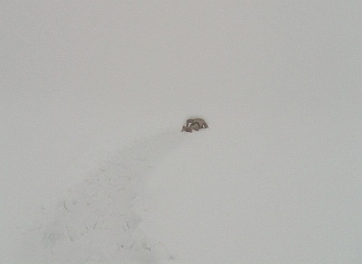 snow creeping